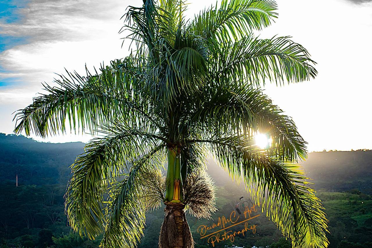 Hotel Palmeras De Luz Moniquirá Eksteriør billede